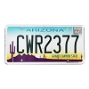2021 Arizona Fleet License Plate #CWR2377