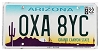 2022 Arizona License Plate #0XA8YC