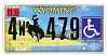2022 Wyoming Disabled License Plate #4479