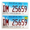 2024 Illinois License Plates Pair #DM25659