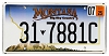 2025 Montana License Plate #317881C