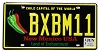 2025 New Mexico Chile License Plate #BXBM11