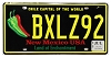 2025 New Mexico Chile License Plate #BXLZ92