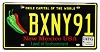 2025 New Mexico Chile License Plate #BXNY91
