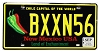 2025 New Mexico Chile License Plate #BXXN56