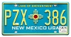2025 New Mexico License Plate #PZX386
