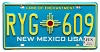 2025 New Mexico License Plate #RYG609