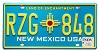 2025 New Mexico License Plate #RZG848