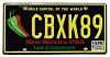2026 New Mexico Chile License Plate #CBXK89