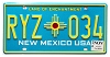 2026 New Mexico License Plate #RYZ034