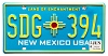 2026 New Mexico License Plate #SDG394