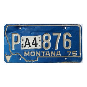 1975 Montana Apportioned License Plate #P876