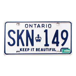 1981 Ontario License Plate #SKN149