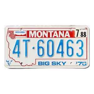 1988 Montana Truck License Plate #4T60463