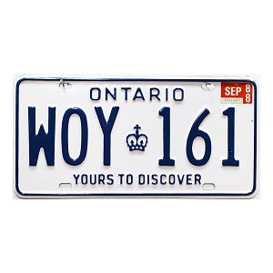 1988 Ontario License Plate #WOY161