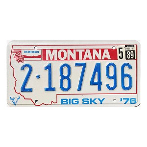 1989 Montana License Plate #2187496