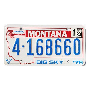 1989 Montana License Plate #4168660