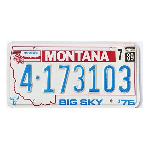 1989 Montana License Plate #4173103
