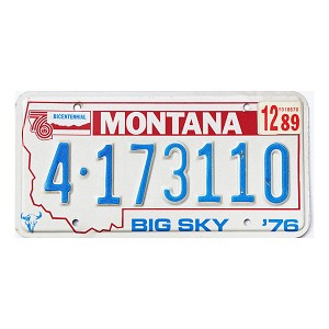 1989 Montana License Plate #4173110