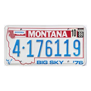1989 Montana License Plate #4176119