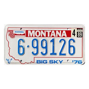 1989 Montana License Plate #699126