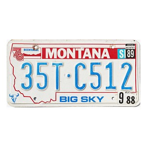 1989 Montana Truck License Plate #35TC512