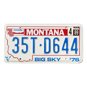 1989 Montana Truck License Plate #35TD644