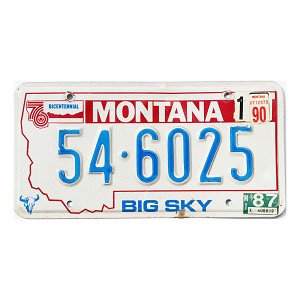 1990 Montana License Plate #546025