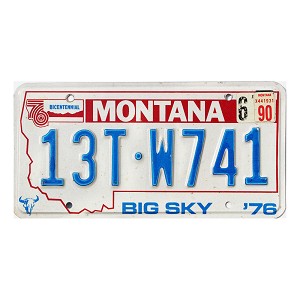 1990 Montana Truck License Plate #13TW741