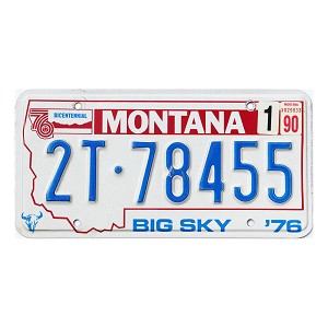 1990 Montana Truck License Plate #2T78455