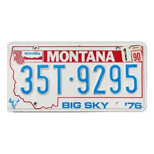 1990 Montana Truck License Plate #35T9295
