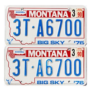 1990 Montana Truck License Plates Pair #3TA6700