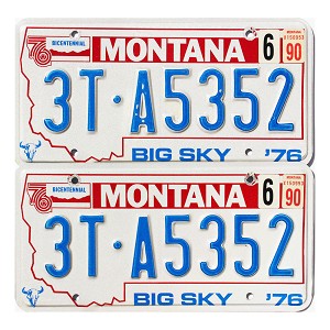 1990 Montana Truck License Plates Pair #3TA5352