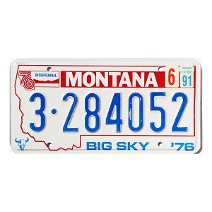 1991 Montana License Plate #3284052