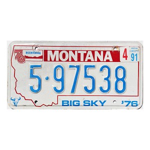 1991 Montana License Plate #597538