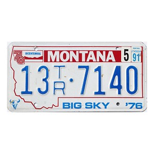 1991 Montana Trailer License Plate #13TR7140