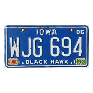 1993 Iowa License Plate #WJG694
