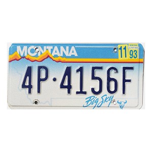 1993 Montana License Plate #4P4156F