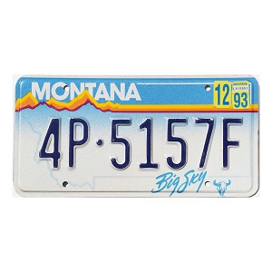 1993 Montana License Plate #4P5157F