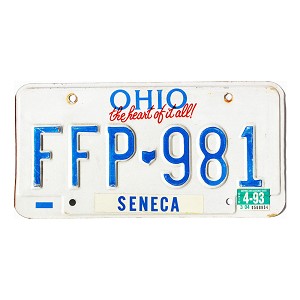 1993 Ohio License Plate #FFP981