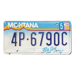 1994 Montana License Plate #4P6790C