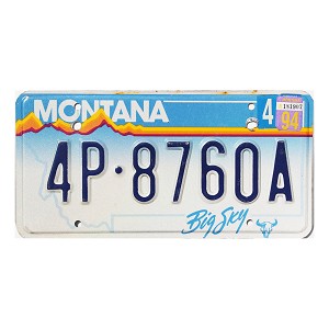 1994 Montana License Plate #4P8760A