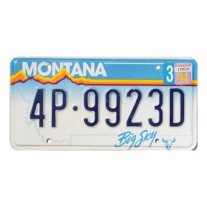 1994 Montana License Plate #4P9923D