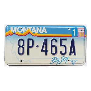 1994 Montana License Plate #8P465A