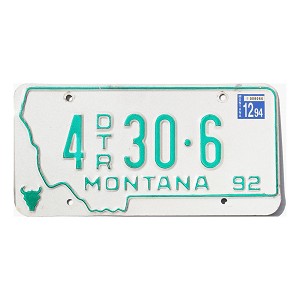 1994 Montana Trailer Dealer License Plate #4DTR306