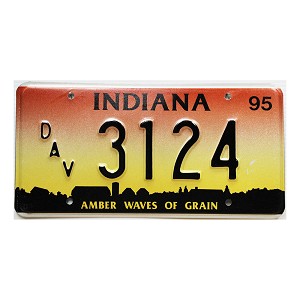 1995 Indiana Disabled Veteran License Plate #3124