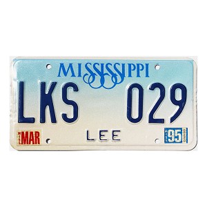 1995 Mississippi License Plate #LKS029