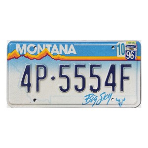 1996 Montana License Plate #4P5554F