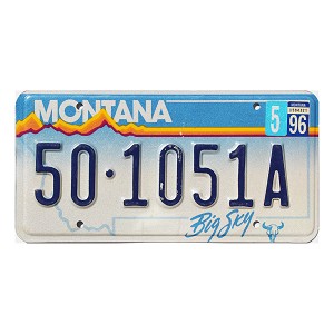1996 Montana License Plate #501051A