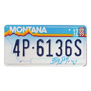 1999 Montana License Plate #4P6136S